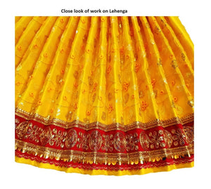 Mata Rani _Poshak_ Vastra for Size Devi Idol Figure - (2 Feet.)_ Size No. 4 (Net+Raw Silk)